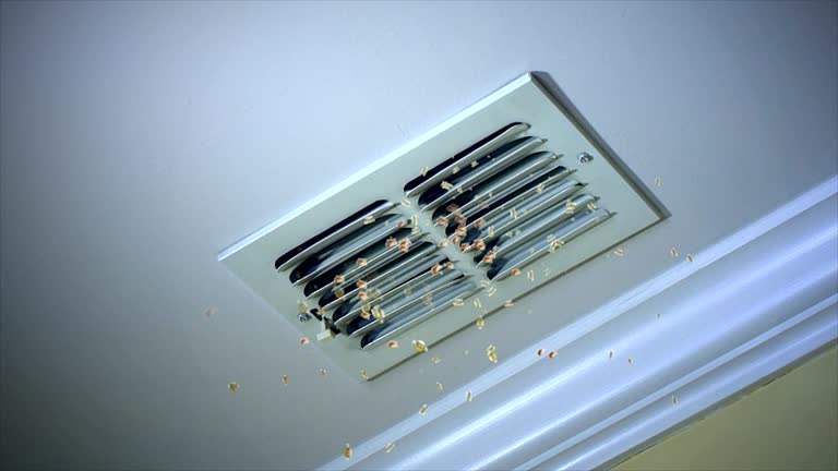 Best Professional Duct Cleaning Services  in Indian Hills, TX
